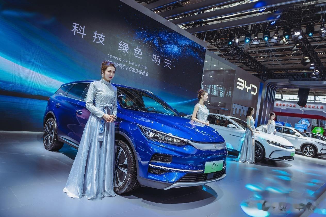 比亚迪拿到4个第一名！在4个细分榜单当中，都拿到了冠军，并且领先的优势十分巨大，