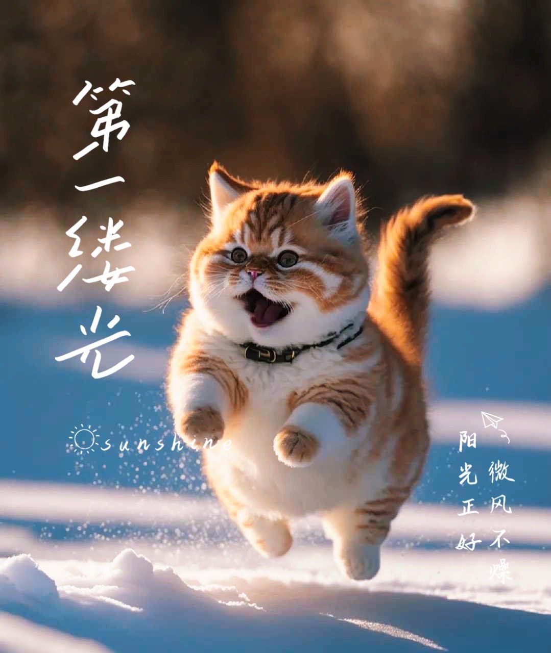 #熊猫守护者[超话]##阳光信