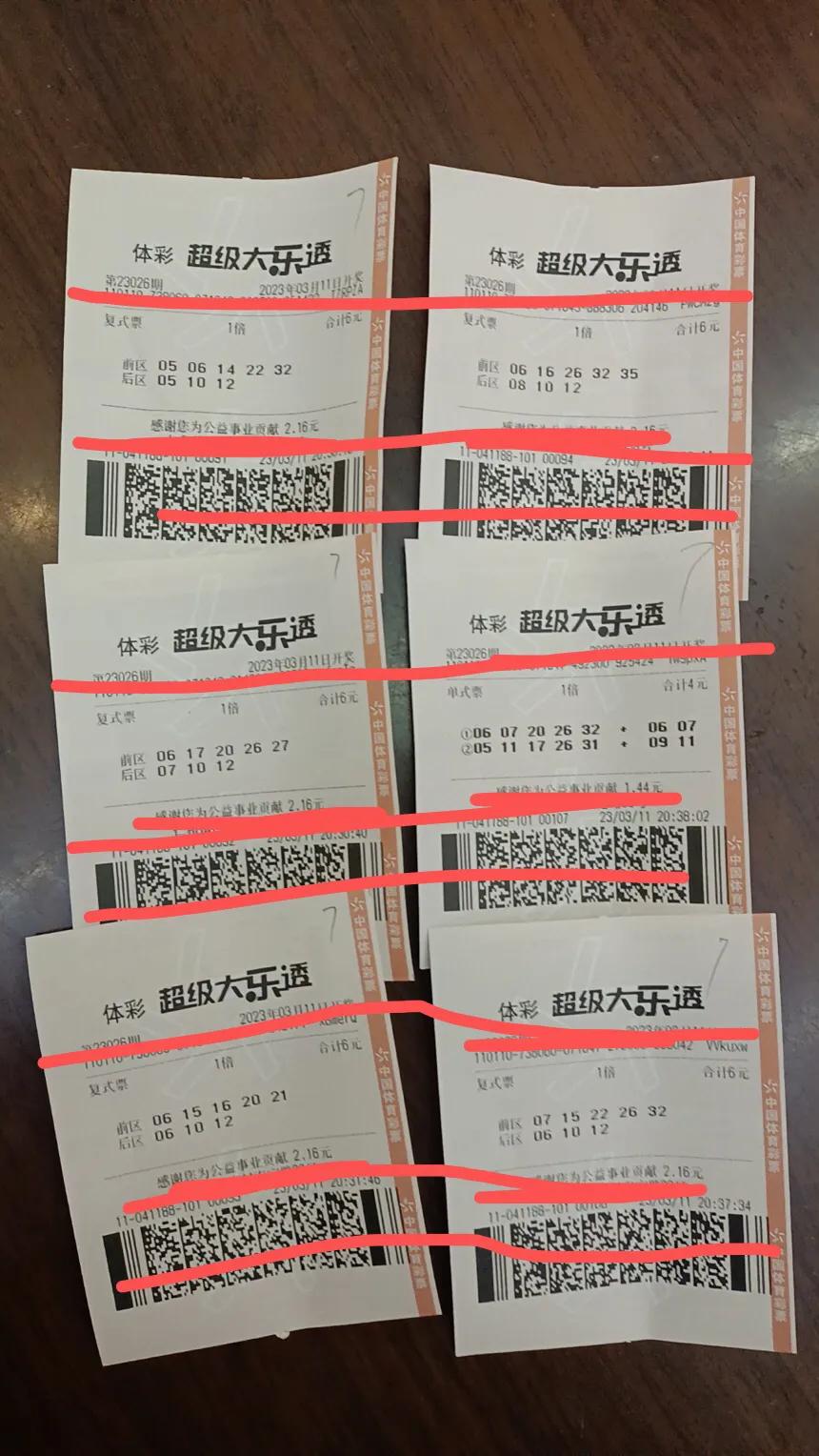 中了、中了、中了，全国唯一一注。票票反着买，别墅靠大海。但愿梦想一会儿成真，要不