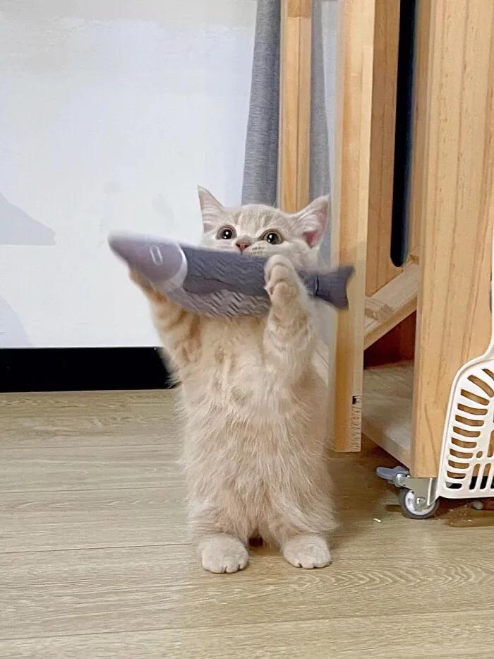 同样是出卖自己，
有的人成了大