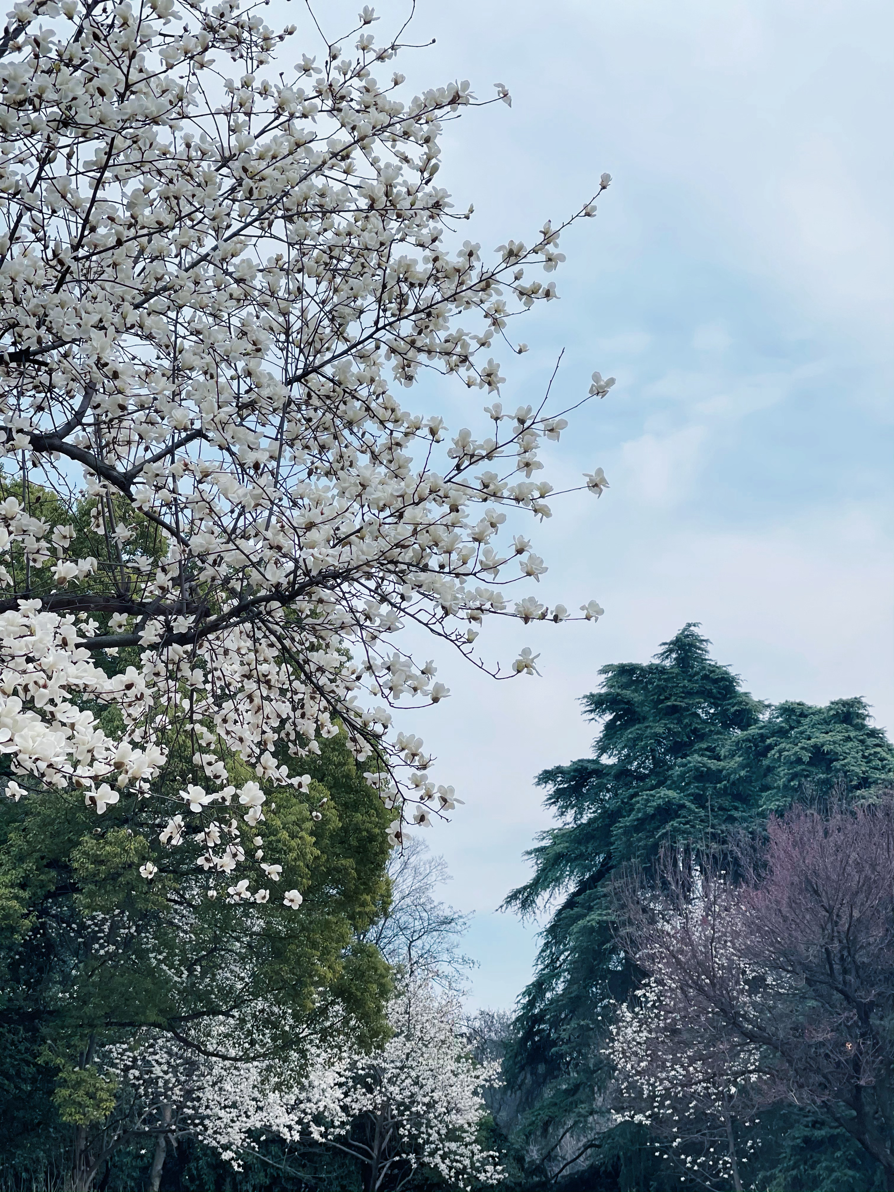 Spring is coming.  ​​​