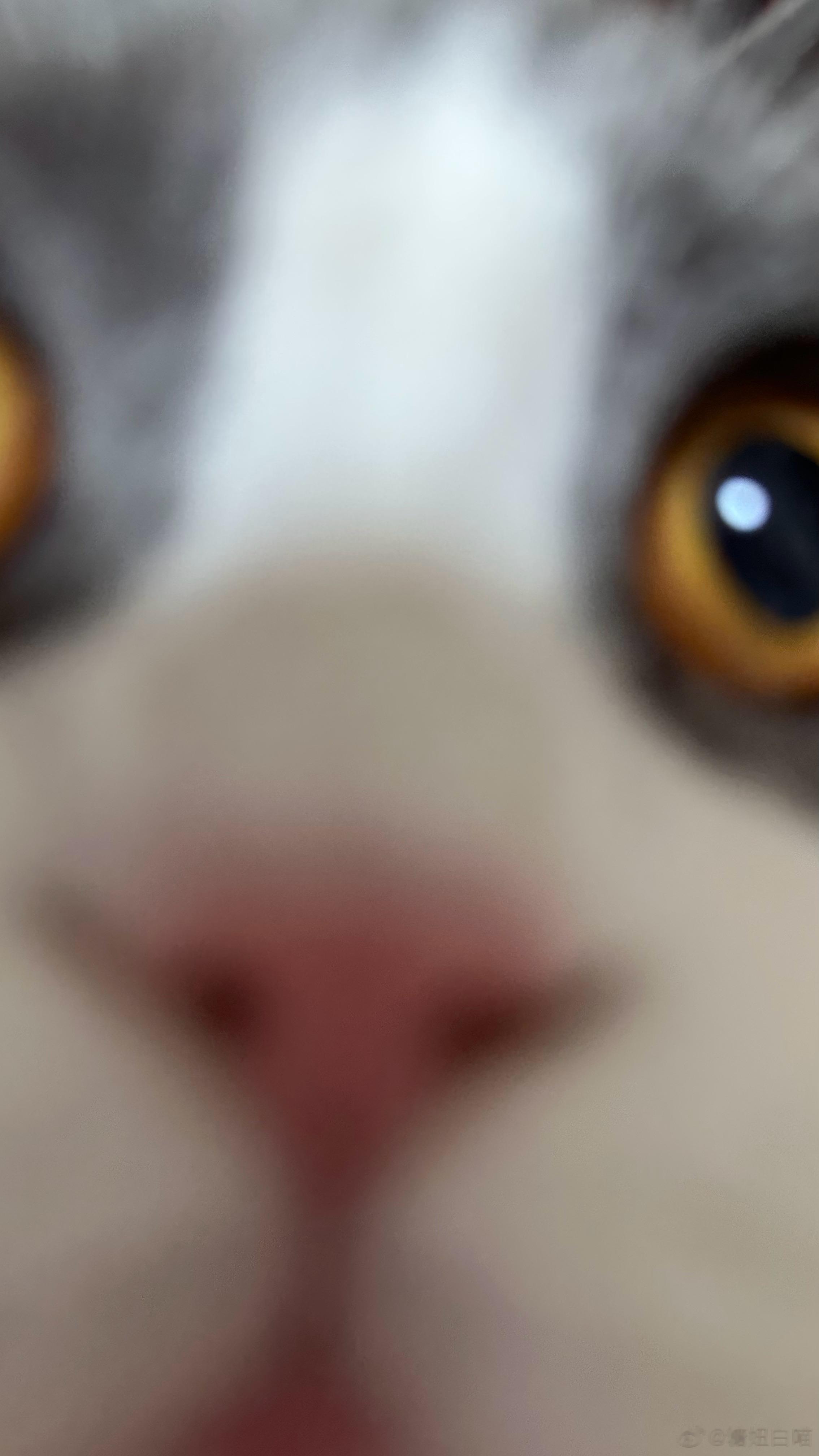  嘿嘿 ​​​