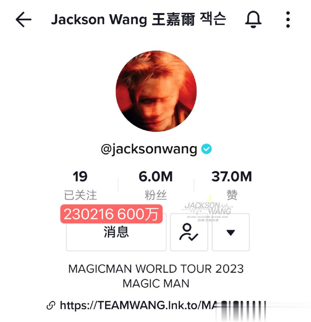 #王嘉尔TikTok播放量华人明星第一# 的TIKTOK最新粉丝数已突破600万