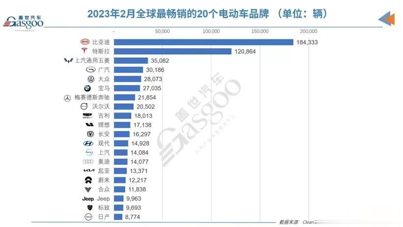 在电动车市场感觉除了六位数销量的比亚迪与特斯拉，已经没有没有其它对手存在了，特别