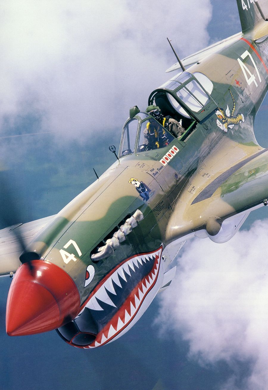 “欢迎外籍F-16飞行员加入乌克兰国际志愿军！”[围观]——昨日，乌克兰防长在与