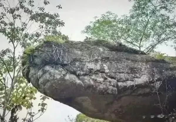 据传闻，这块化石被不少修炼者视为稀世之宝，但石头上刻着的字迹却让修炼者望而却步。