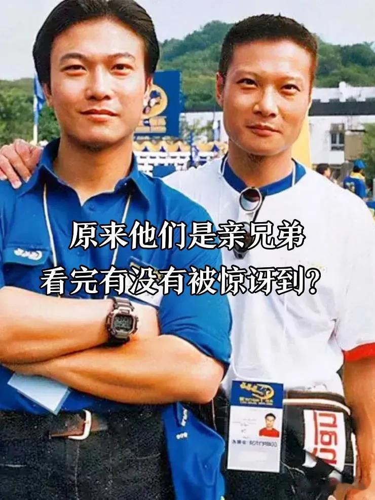 原来他们是亲生兄弟