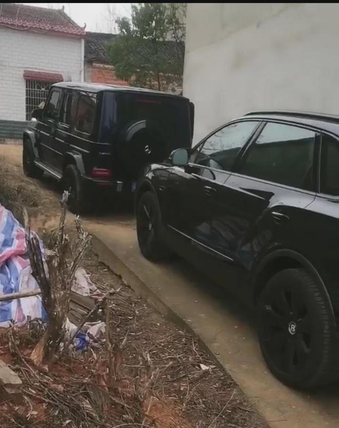 名人们衣锦还乡！2023年兔年