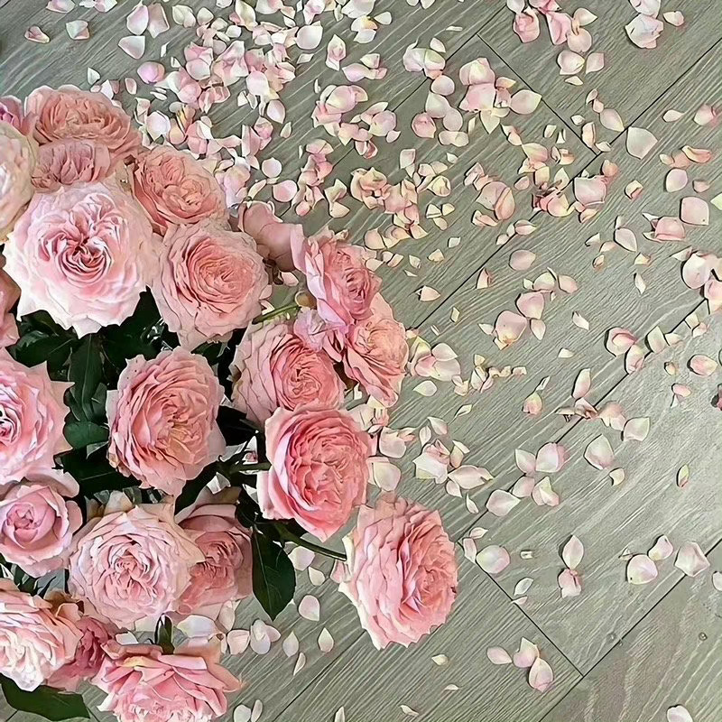  只有用金钱支持你的人，才是最认可你的人。真心想帮你的人，从来没有那么多废话 ​