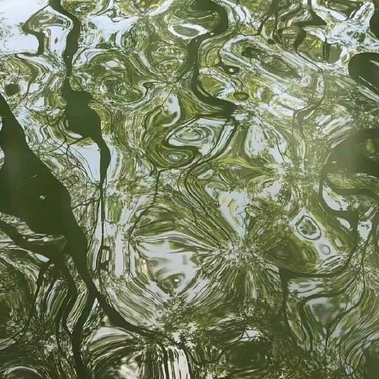 绿岛潜水艇的丫