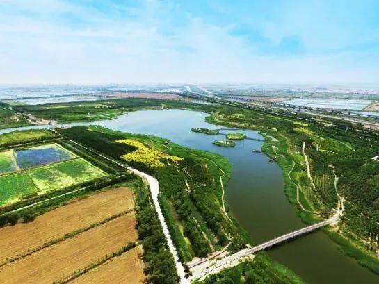 其实不清楚为何叫郊野公园，个人臆断可能郊野公园一般处于远郊地区，且基本保持原有自