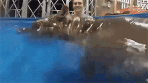 图1 全身都是戏，演技爆表
图2 为什么我们广州会有这么多黑人？
图3 徒手开西