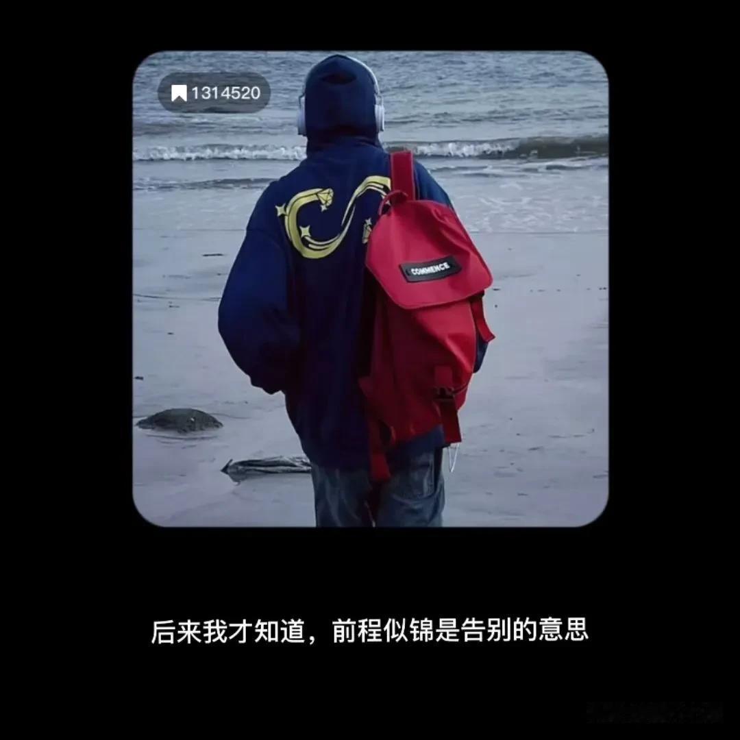 春天没有方向，春天只顾开花……
人生的路很孤单很漫长！
很多时候只能自己一个人独