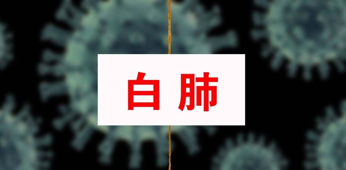 9岁男童感染甲流导致大白肺，成人感染后会不会出现同样病变？
浙大儿院感染科接诊了