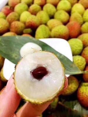 荔枝核功效【性味与归经】甘、微苦，温。归肝、肾经。【功能与主治】行气散结，祛寒止