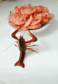 它真的是好努力哦！答应我，不要