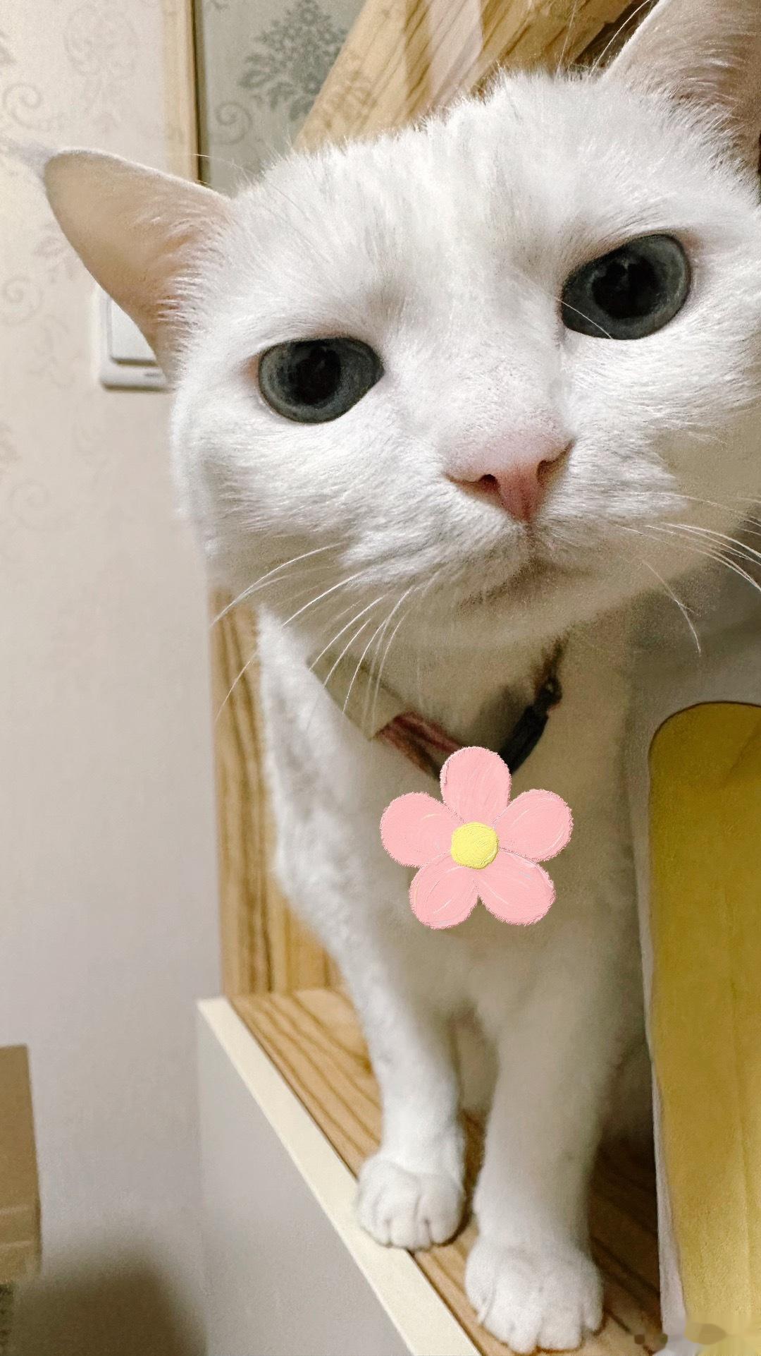 早来么一个~~~ ​​​