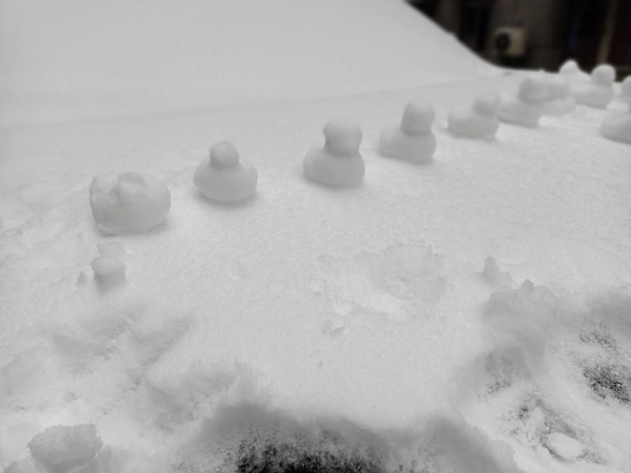 前几天武汉的雪，不知是谁人这么有劲，在车上堆了一堆小黄鸭。另一辆车上则发现了一个