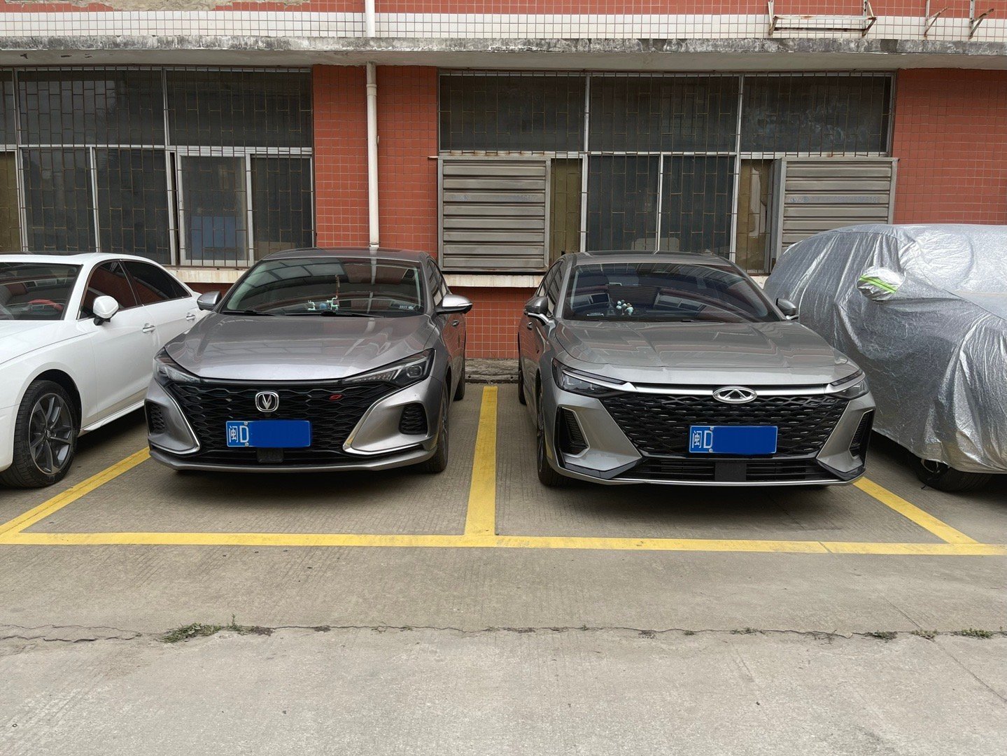 是不是失散多年的兄弟~[打call][打call]然后一回来：感觉变了但是又没变