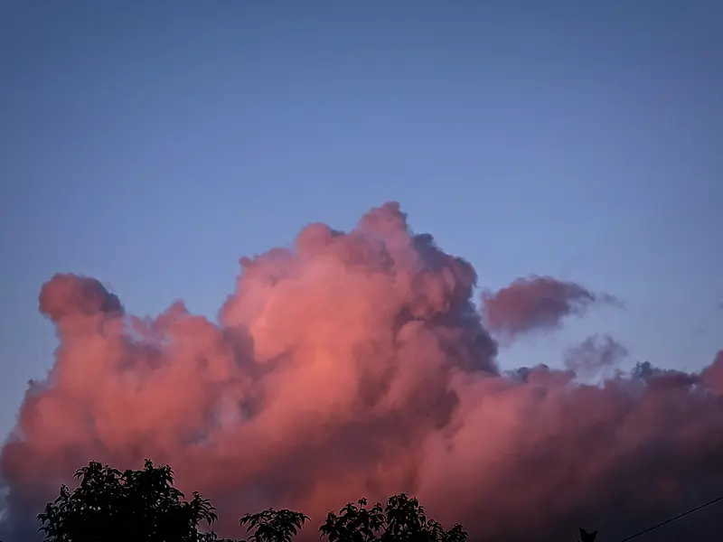 今天给大家分享两张超有氛围感的照片。一张是夜拍的美腿小姐姐，她身着露背...