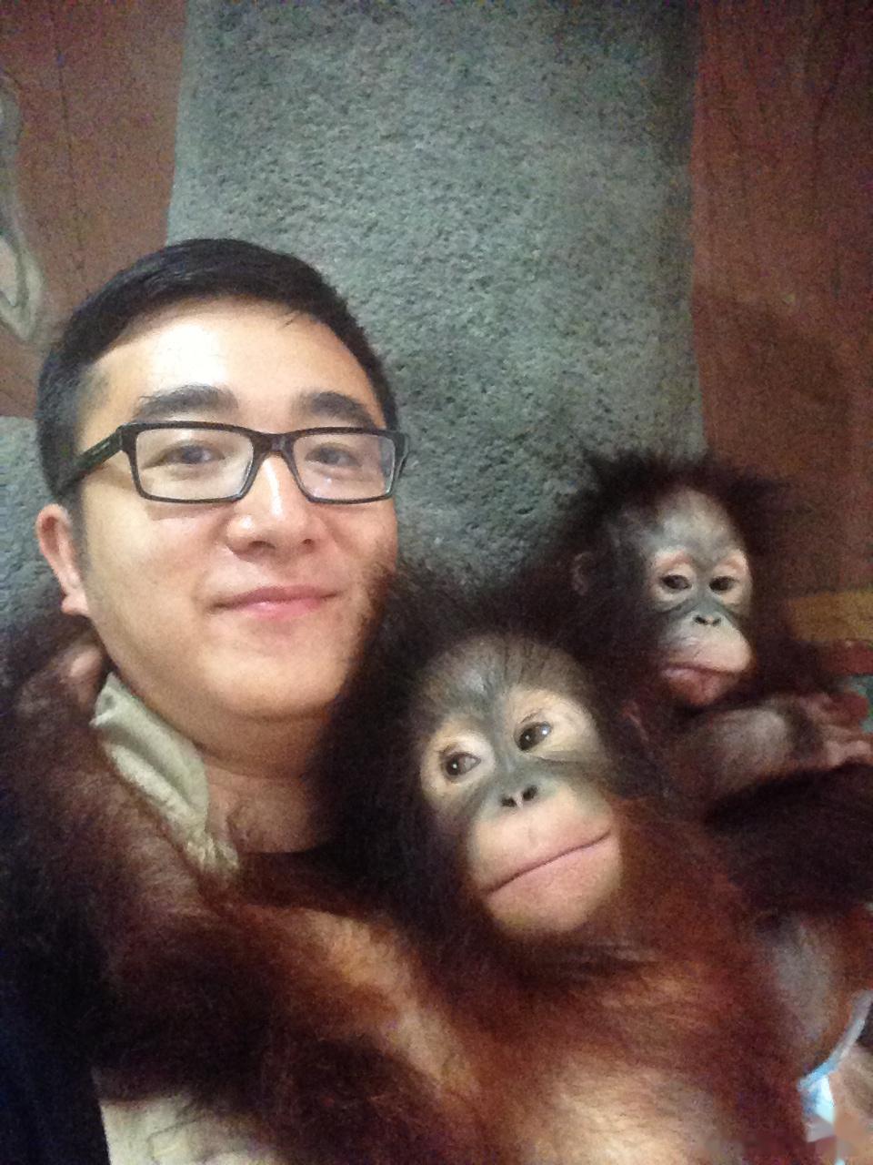 我在印度尼西亚和红毛猩猩[笑cry][笑cry][笑cry] ​​​