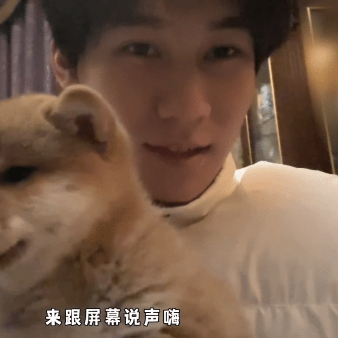 #张真源的小狗叫呼安# 之前都没有想到张真源的小狗狗会叫这个名字啊，其实我觉得叫