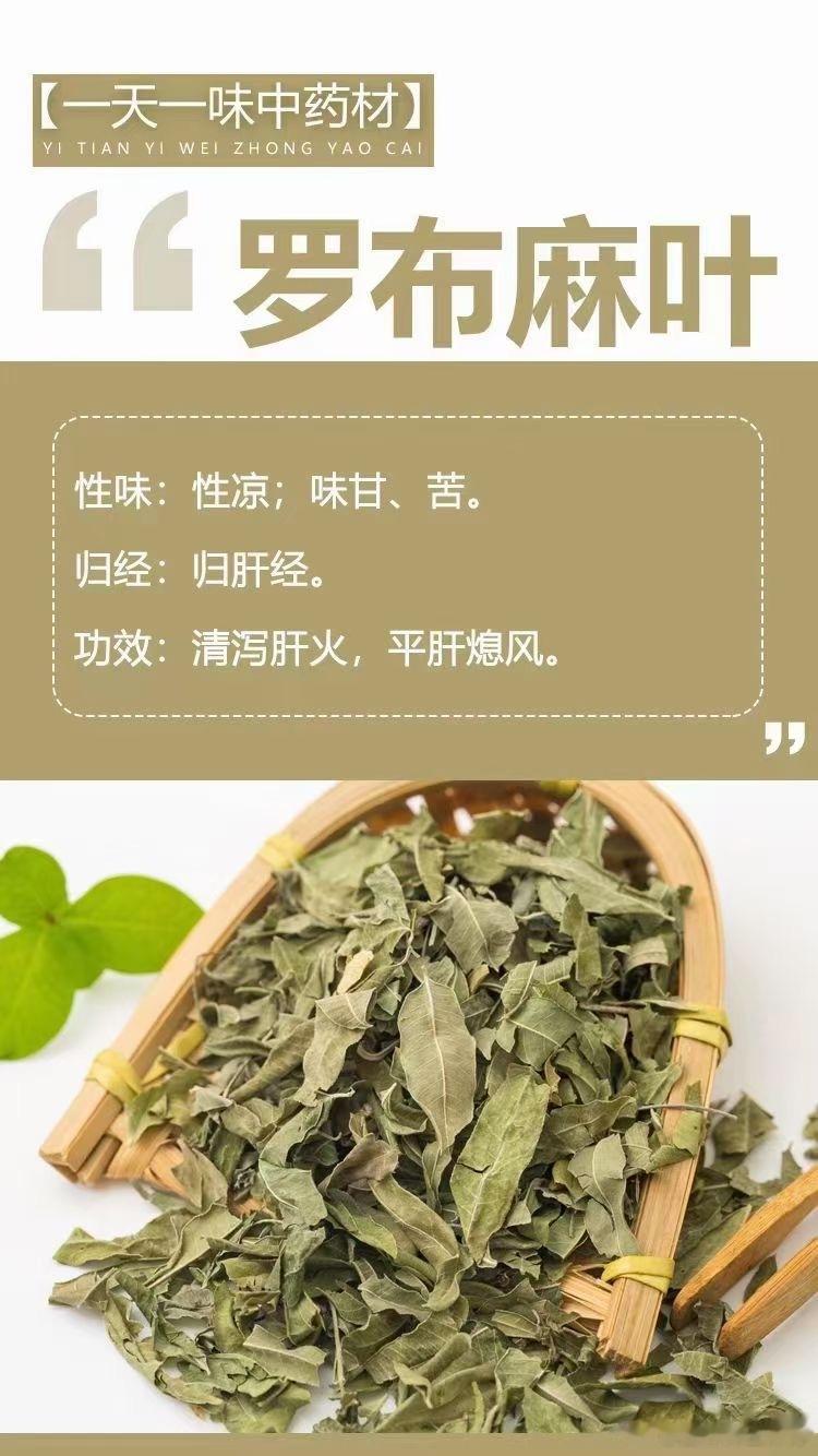  🌿【一天一味中药材】🌿 