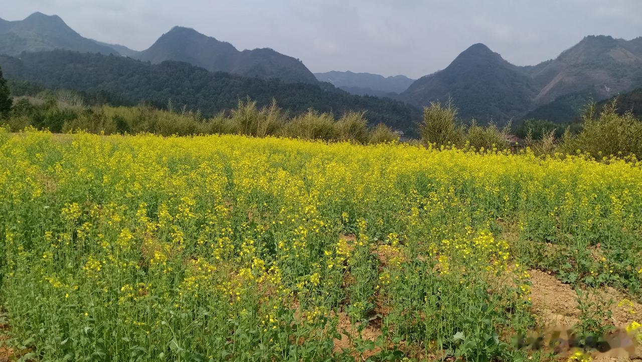 某专家：经过多年的研究，我们团队取得了突破性进展，终于发现吃饭可以缓解饥饿。
这