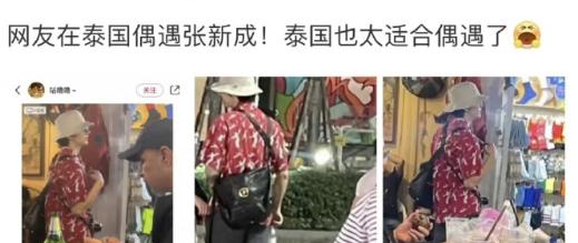  有网友发现张新成李兰迪前不久疑似同游泰国，并猜测两人仍在一起，罗列出证据如下：