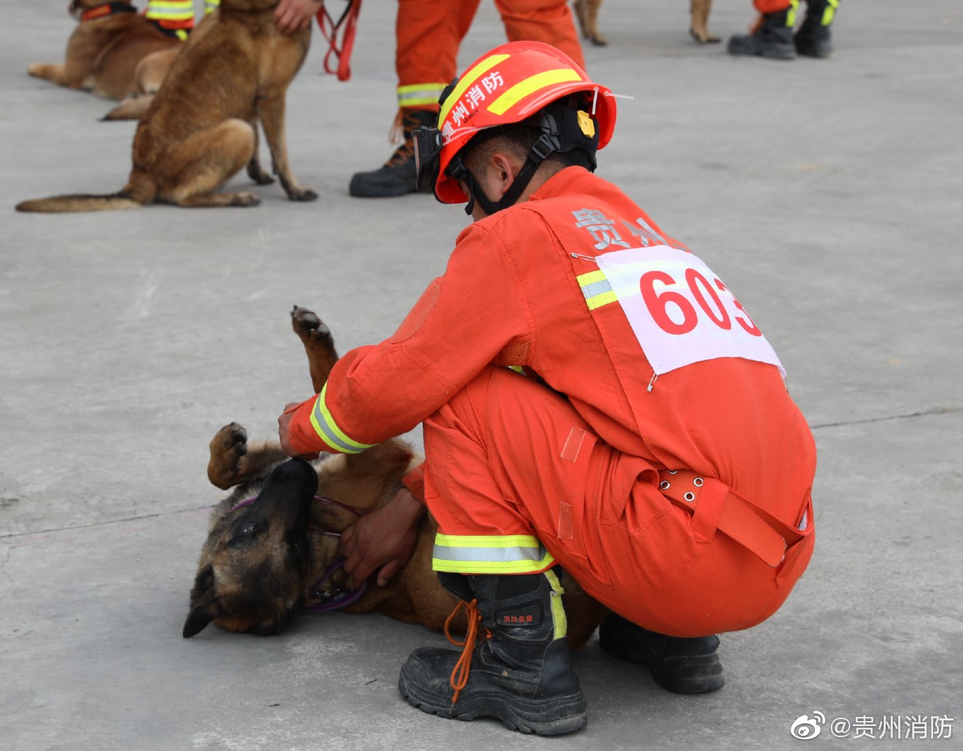 你们困了没，反正崽崽困了，崽崽