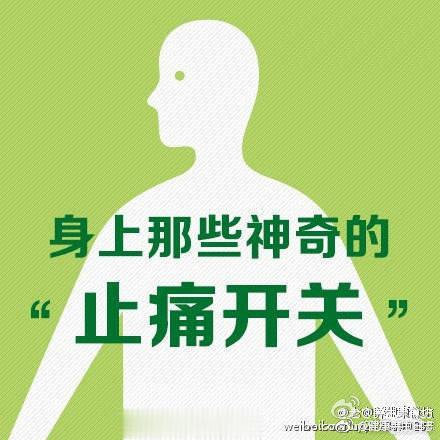 【身体的止痛开关】头痛、牙痛、