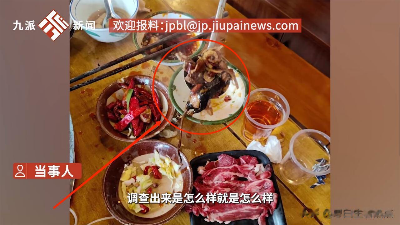 火锅店吃出整只脱皮老鼠，老板私了后想反悔，索性称是食客自己扔进去的。
重庆一家火
