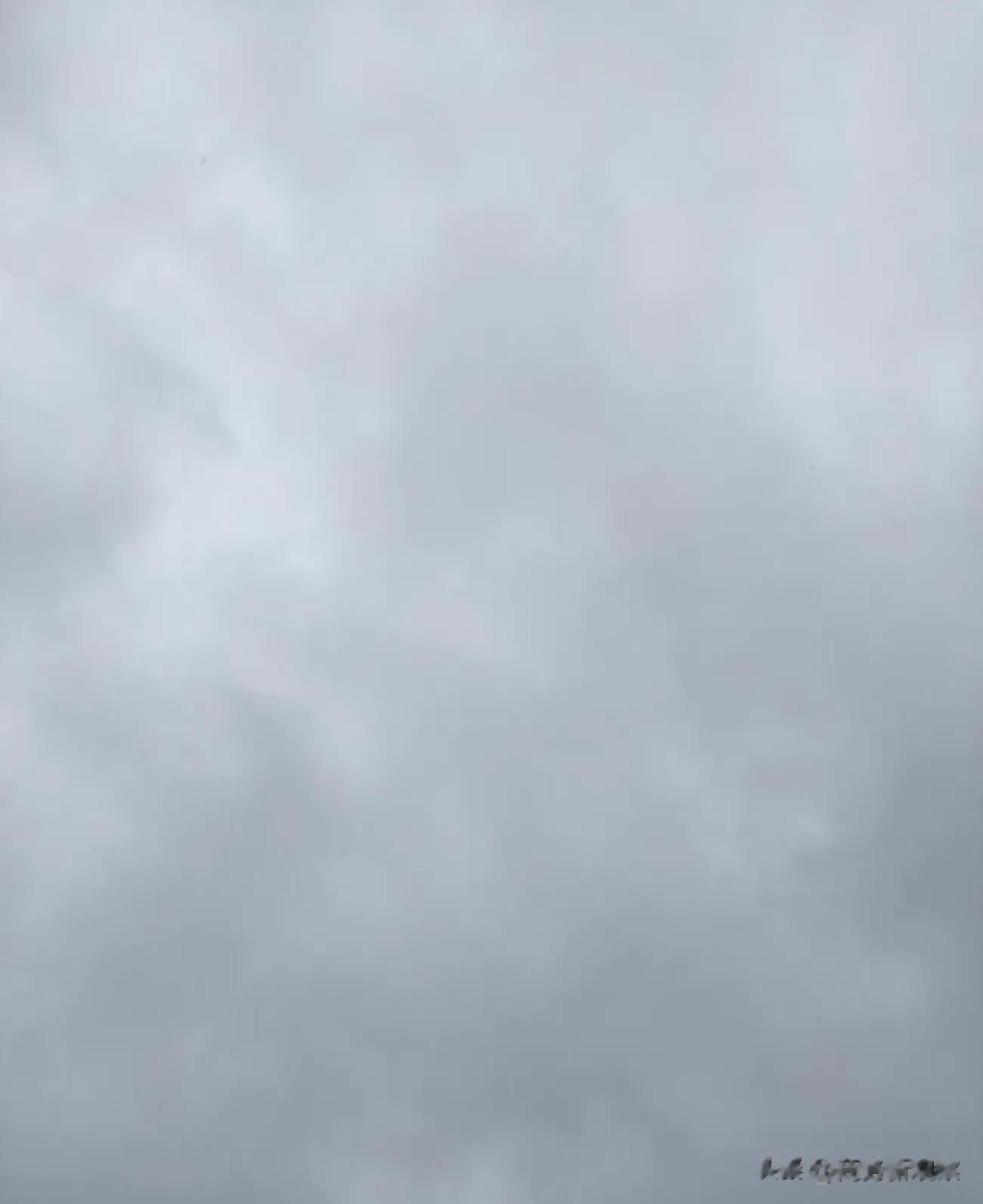 昨天下雪了！在这个原本应该是春光明媚的日子里，今天的天空却又是一片灰蒙蒙的样子，