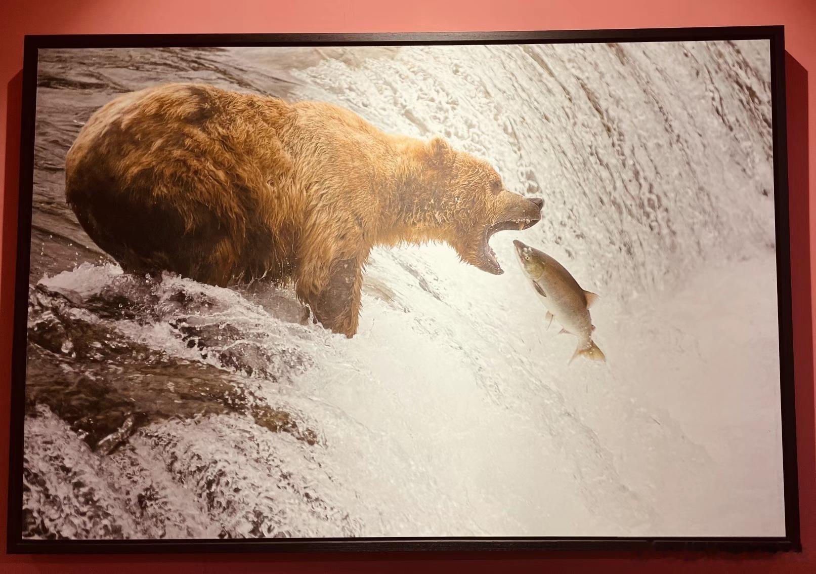 国家地理130周年展！一共5个