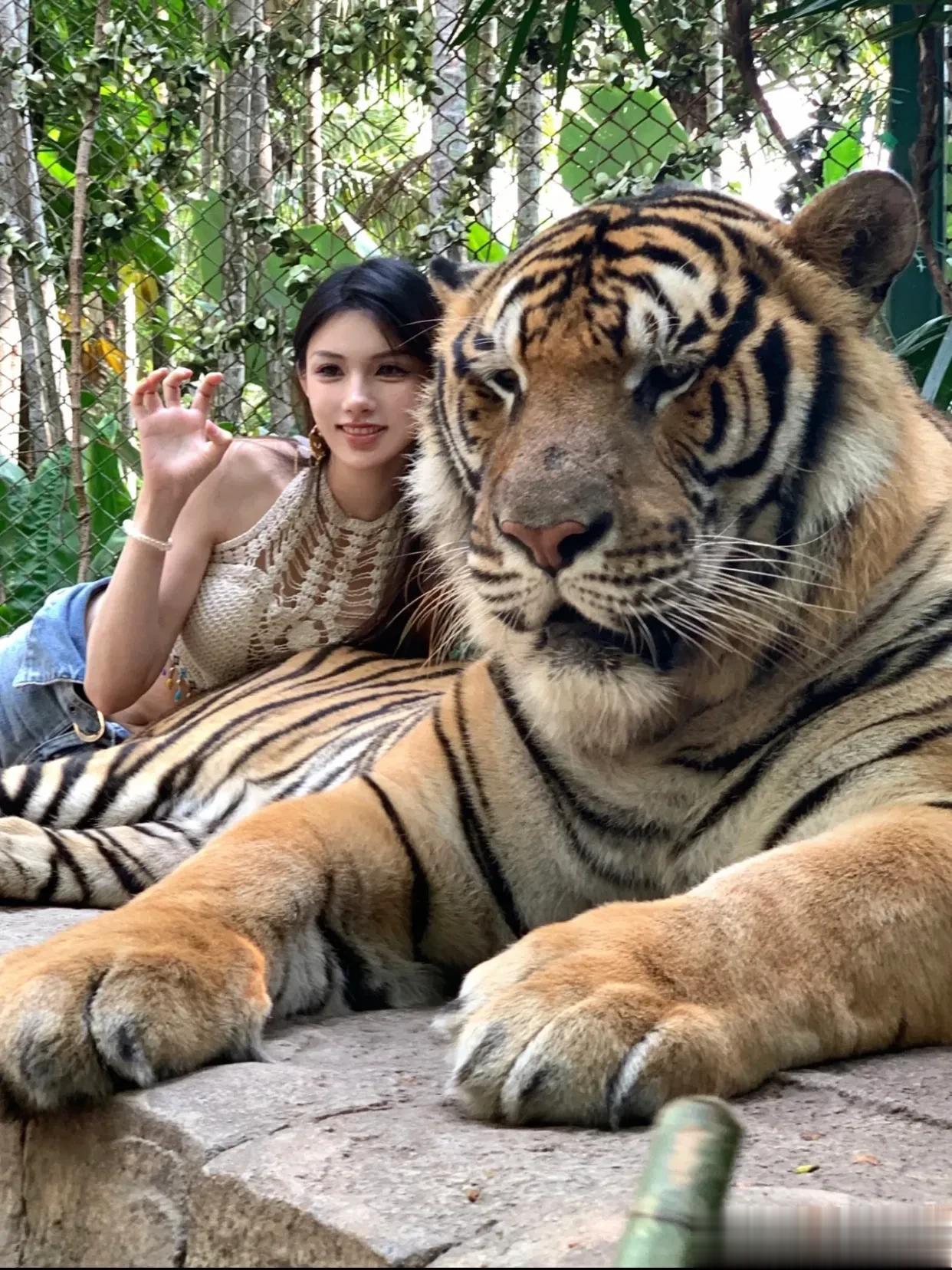 美女笑不过三秒[打脸]
在工作人员指导下撸的大猫猫，可惜被讨厌了
美女吃了虎哥一
