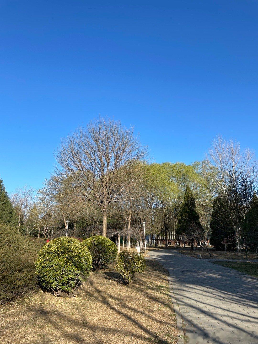  花开时节遇见春天的花🪷🌹🌸🌼🌻🌺🌷该走的应该走了，该来的也必然要