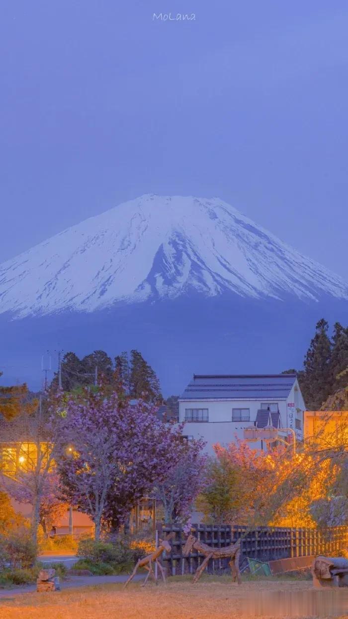 身处泥泞遥，看满山花开
