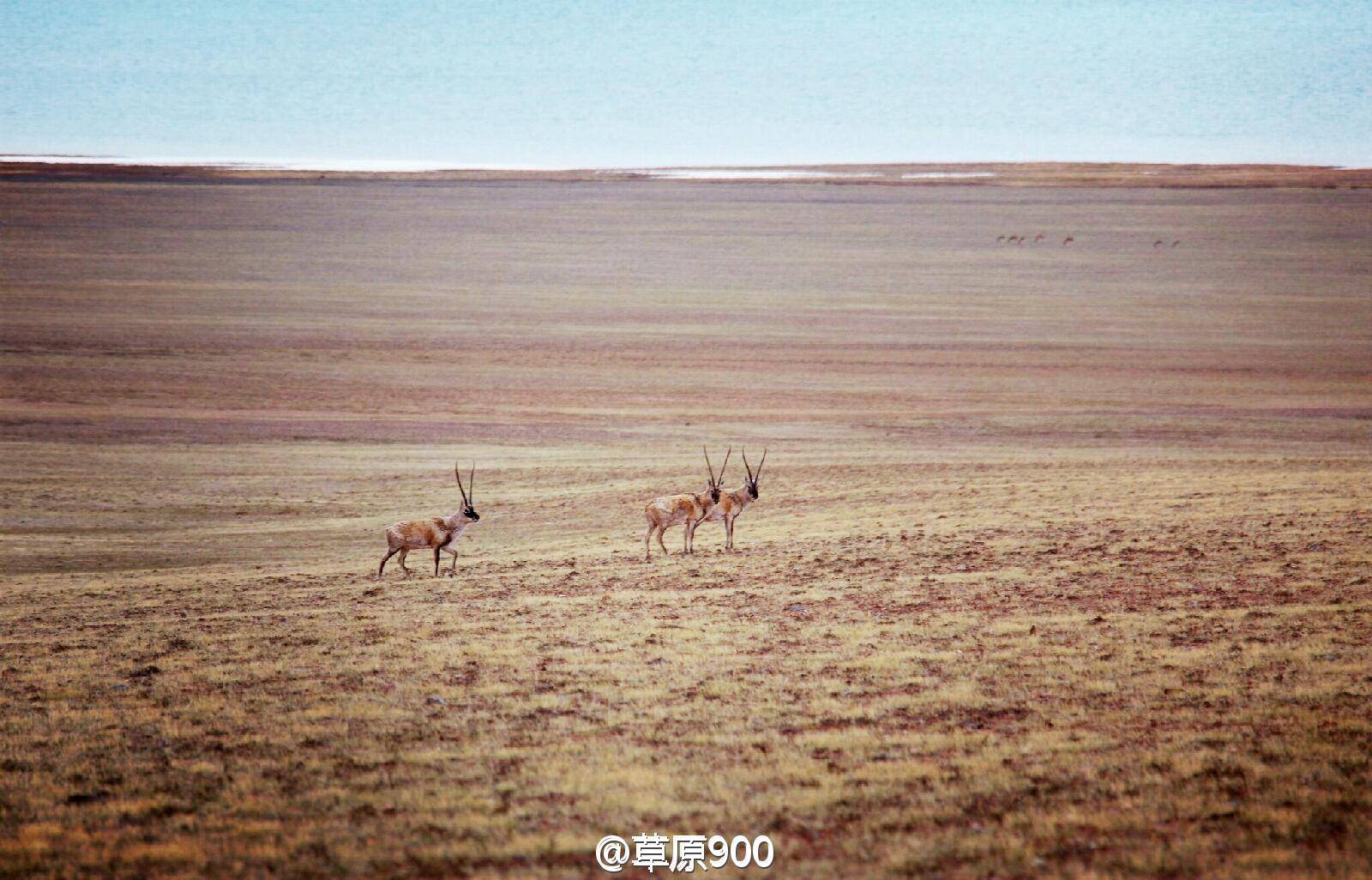 旅行路上，留下脚印与欢笑，带走你的垃圾。  垃圾在土地中自然降解的时间:  纸：