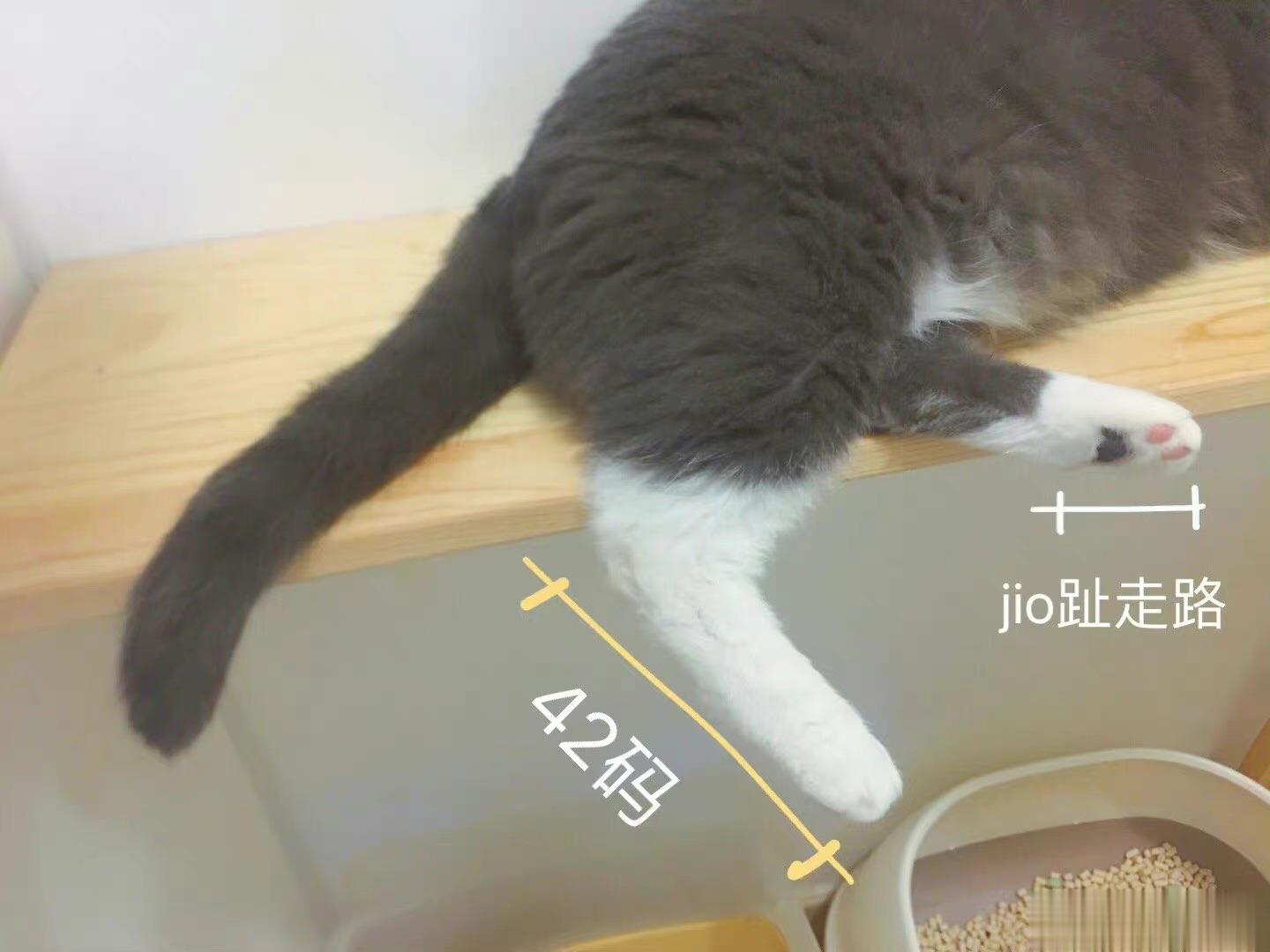  显腿长！ ​​​