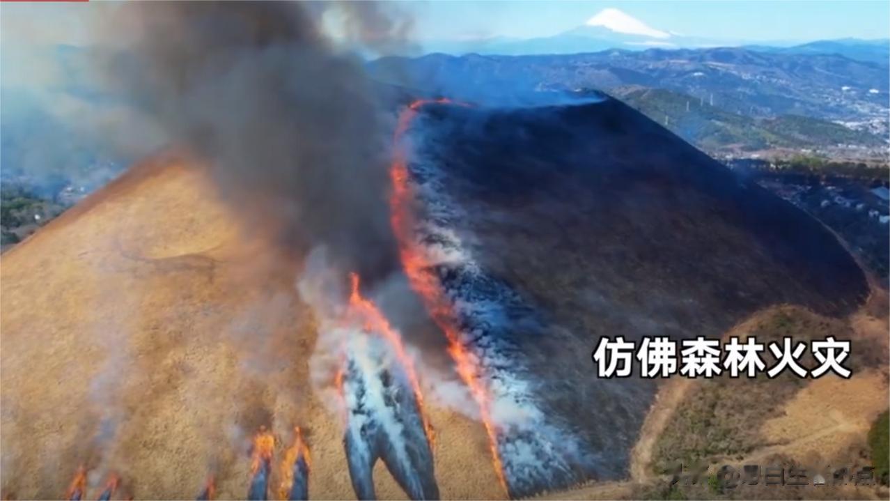 日本烧山700年，参与人需判刑7千年。
日本静冈县伊东大室山，有延续上千年的春社