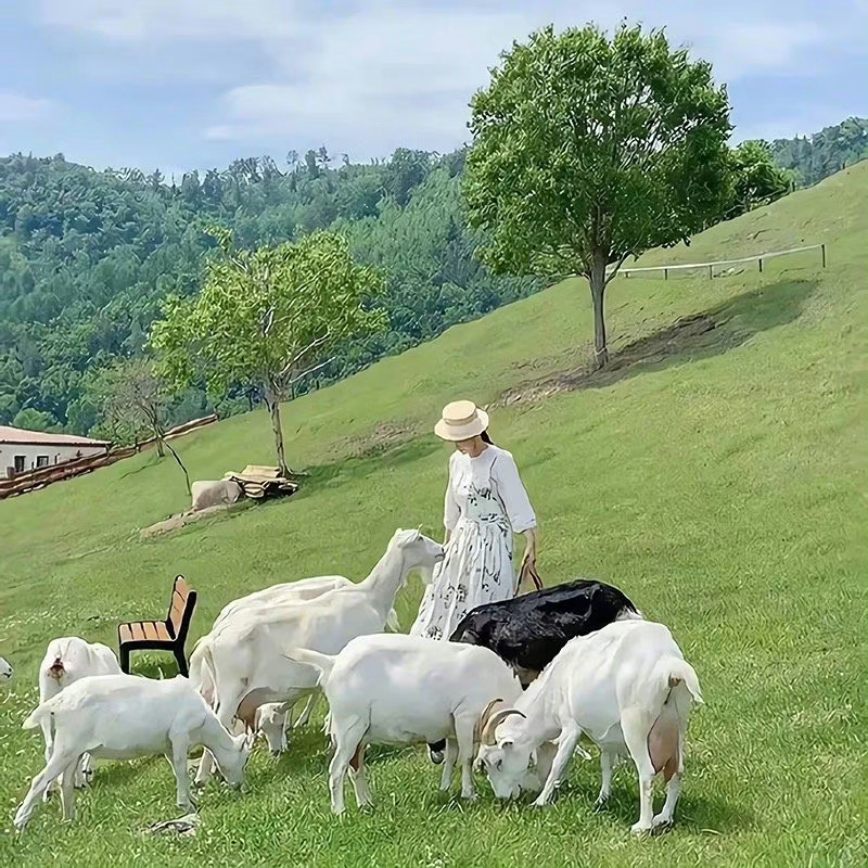  “ 不管什么关系 讲话有礼貌的人真是太让人舒服了 ” ​ ​​​