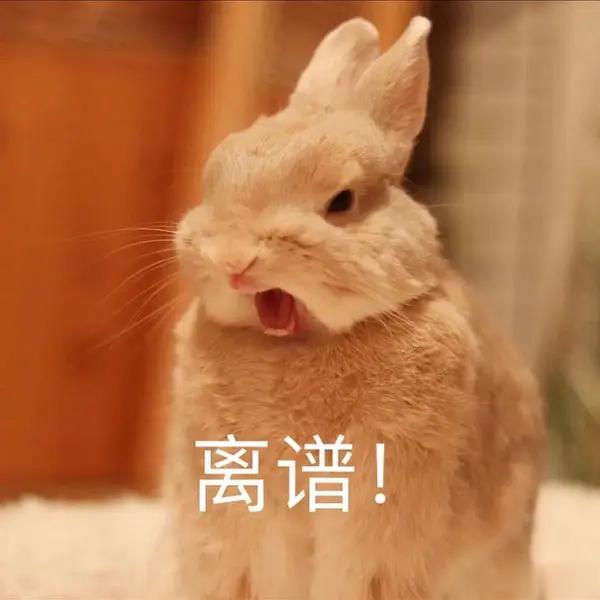 怎么说呢，近期wb热搜的无聊程度是……哪怕只想随便跟个词条，蹭点阅du量都很难选