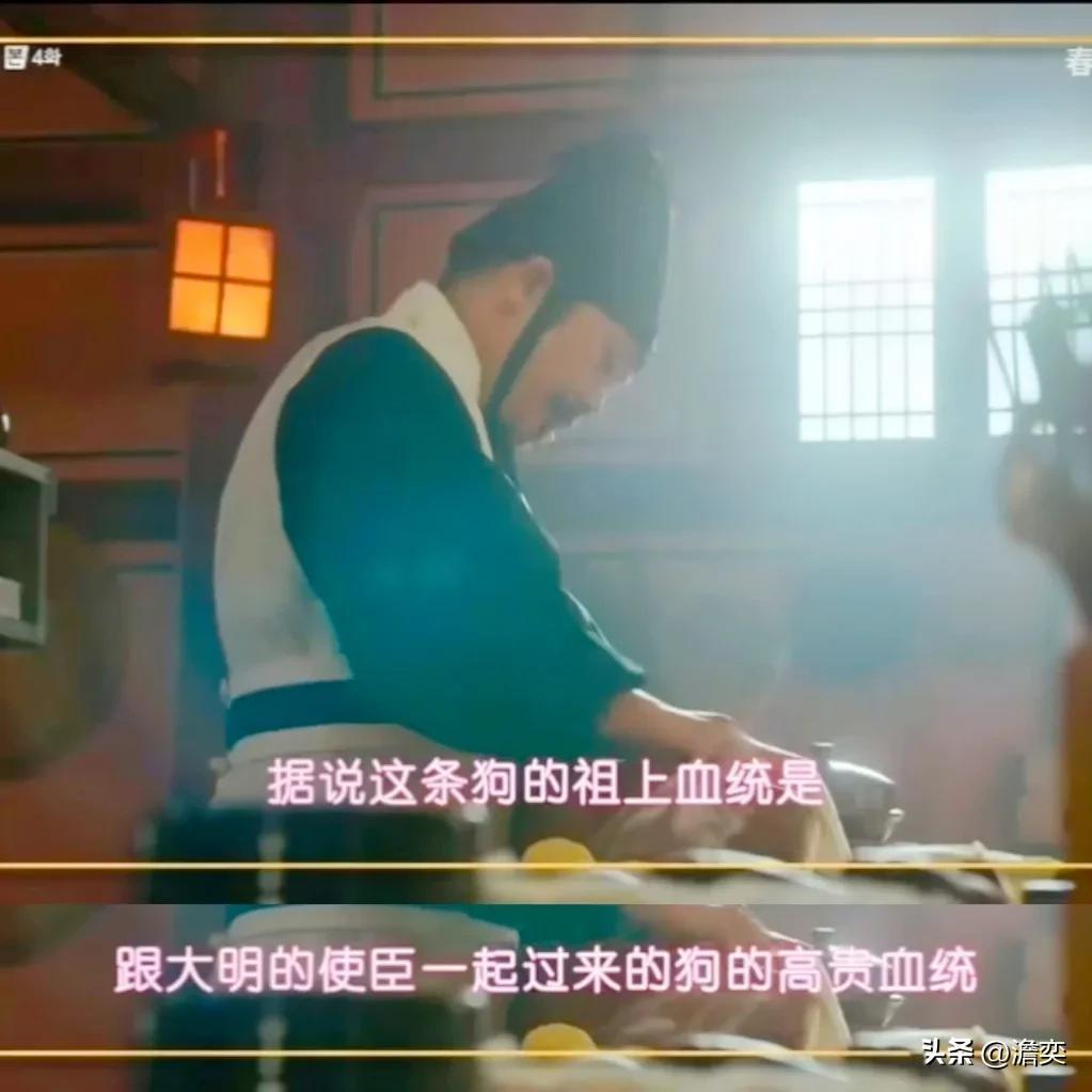论怼人，还得是国内的网友啊。
专治韩国人的阴阳怪气，夹枪带棒。
[泪奔][泪奔]