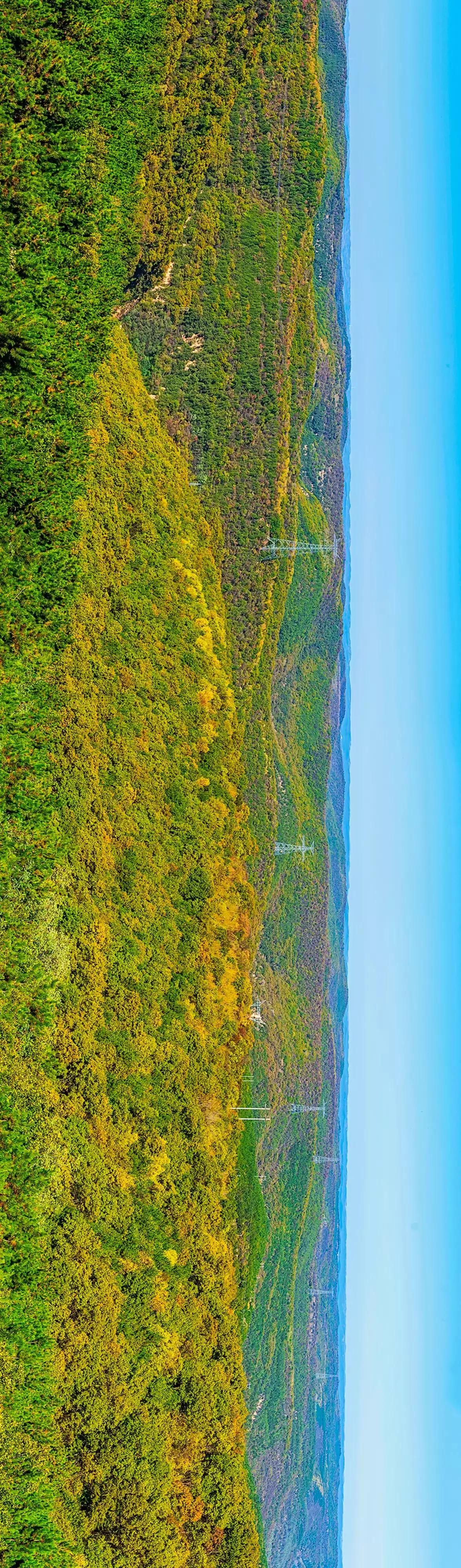 子午岭秋色