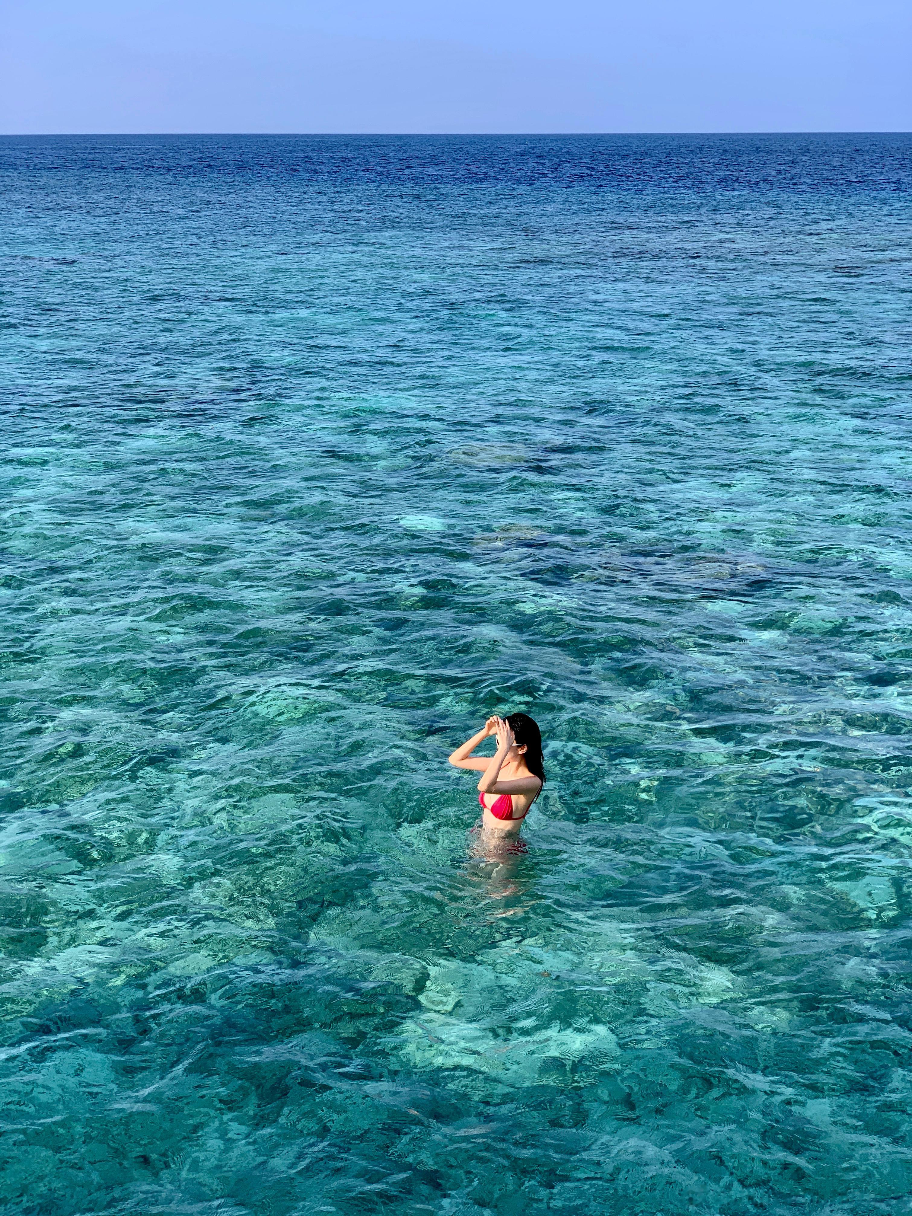 早上好小博友们🐟已回沪心还在马尔代夫 ​​​