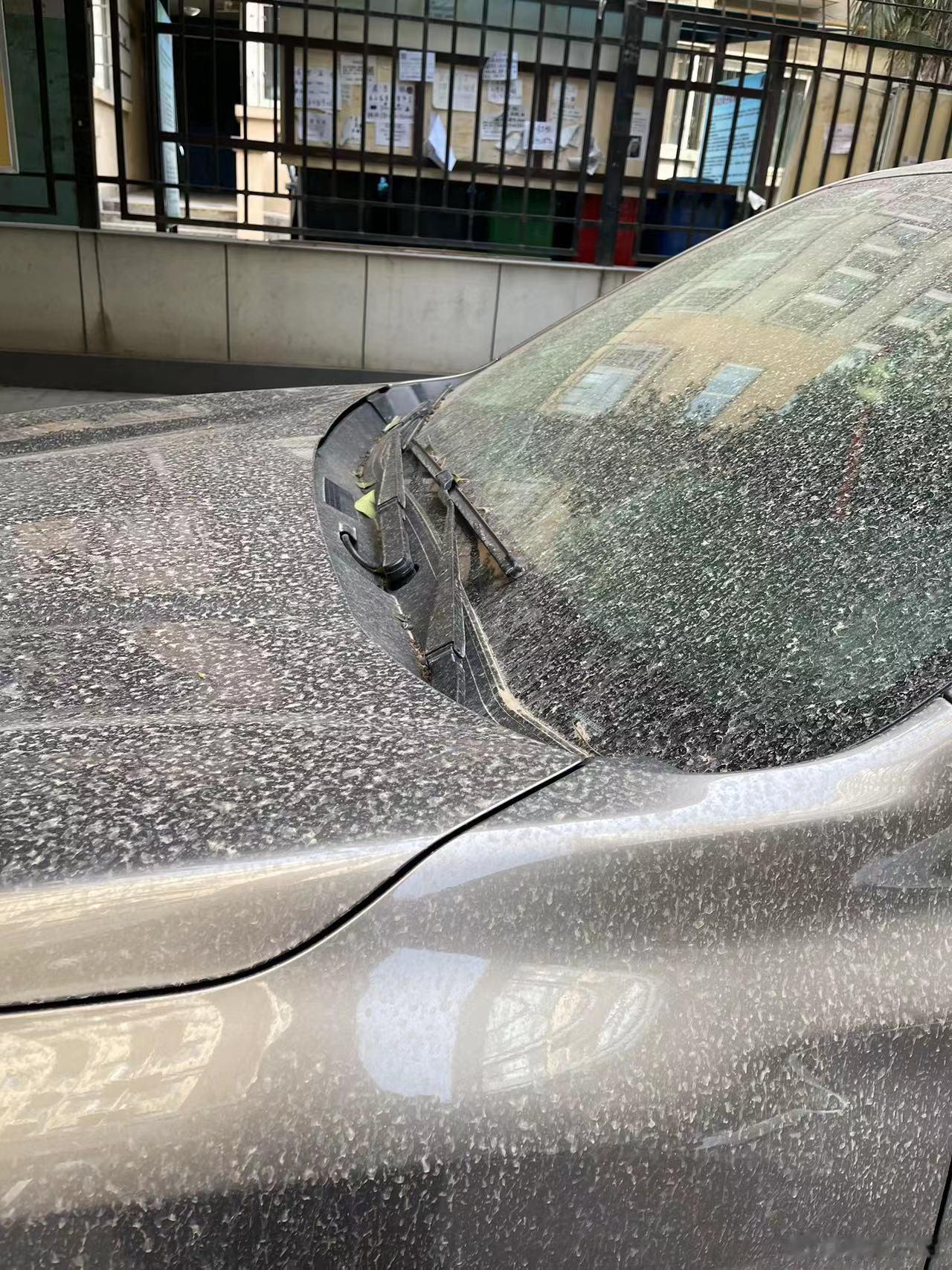 西安昨天下的什么雨………… ​​​