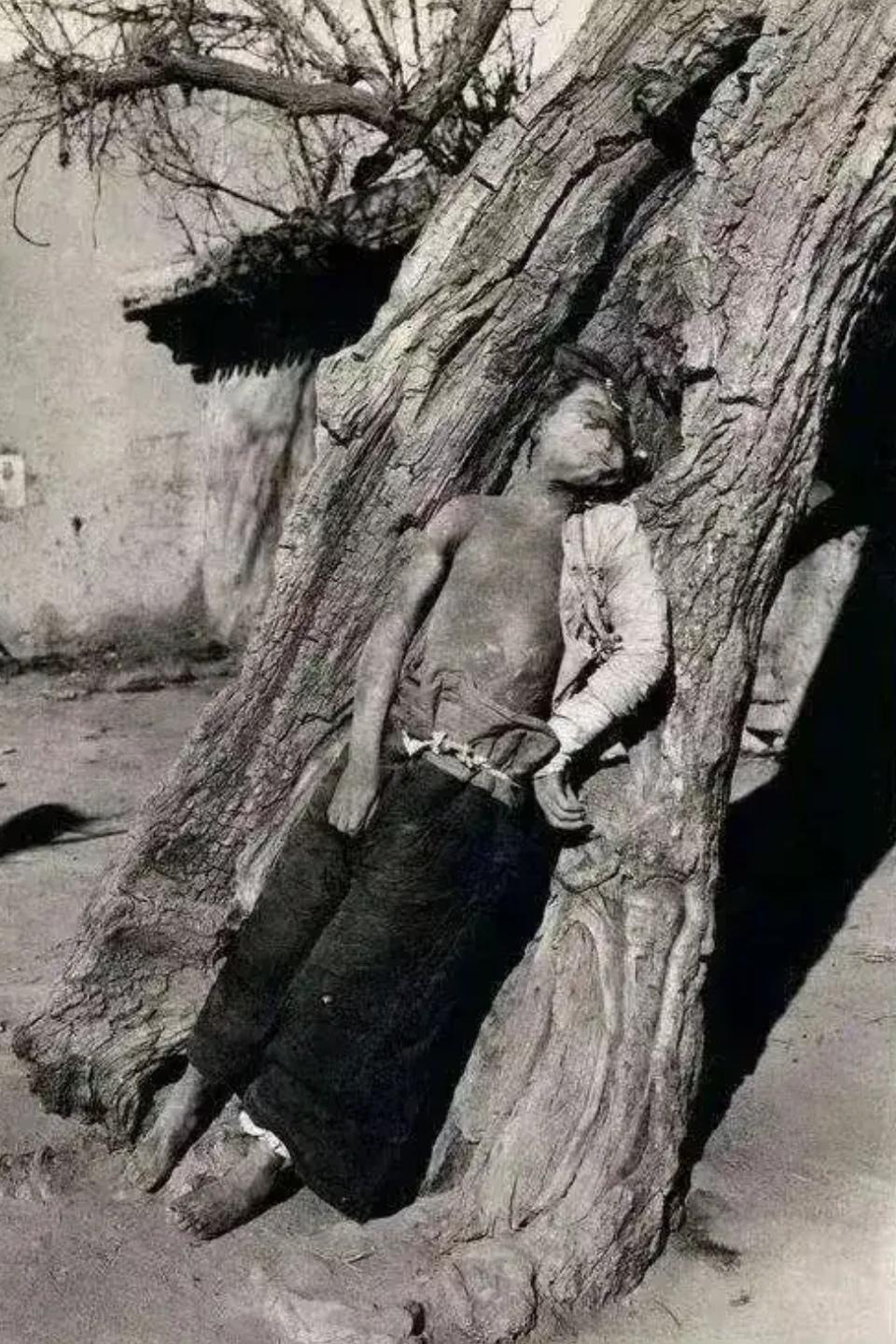 #历史那些事[超话]#1937年1月，红五军张护士长被马家军钉死在此树，因而得名