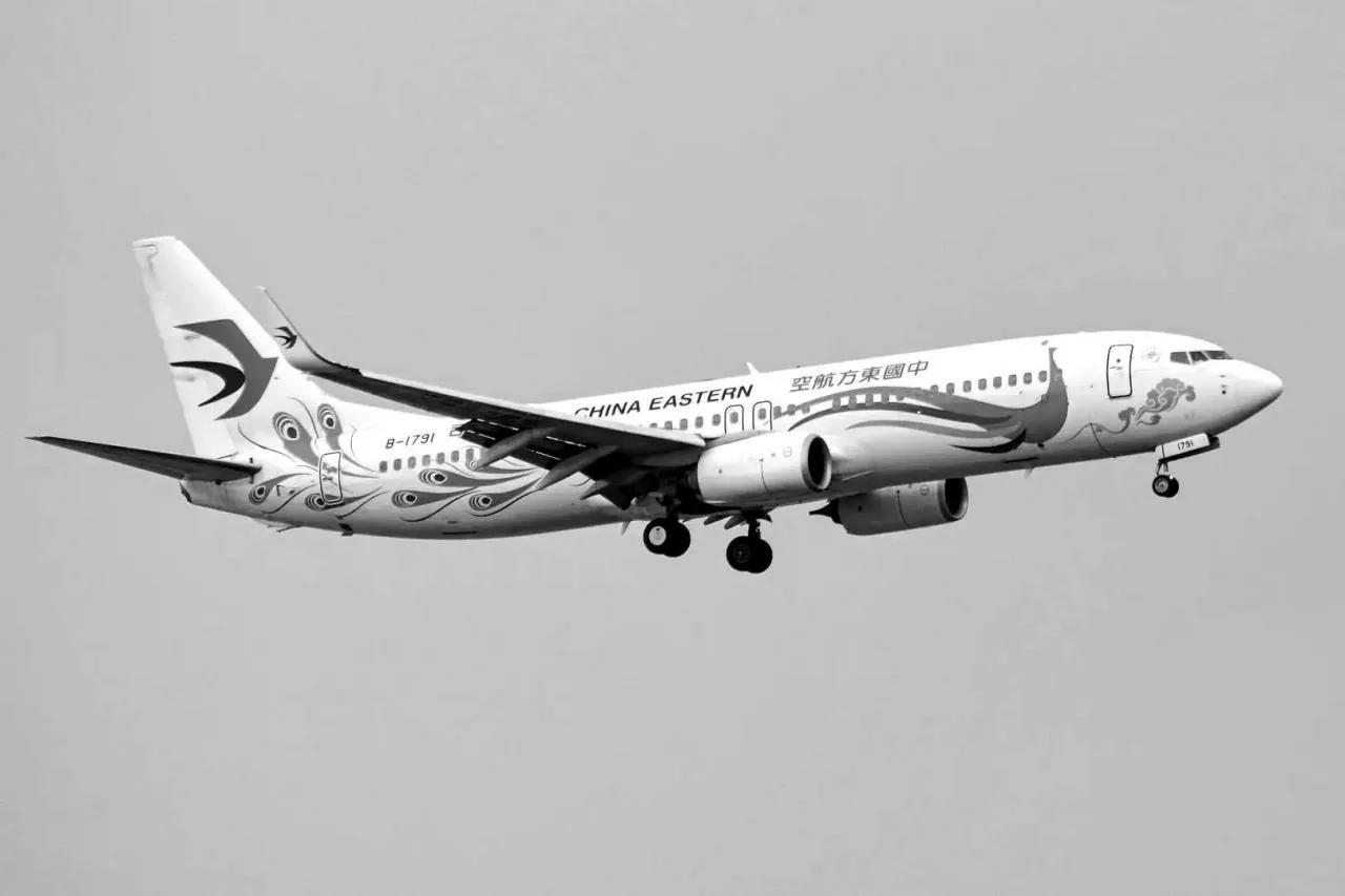 东航发布最新飞行事故调查进展：由于本起事故非常复杂、极为罕见，调查还在持续深入进