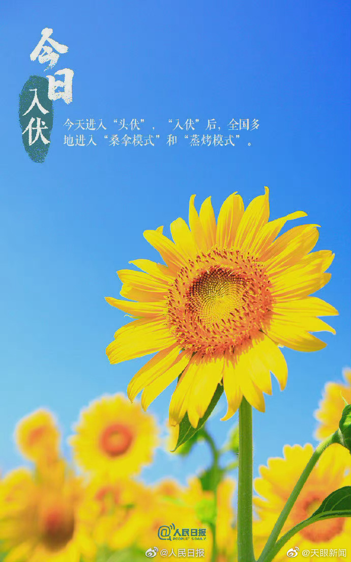 【今日入伏！】40天加长版三伏