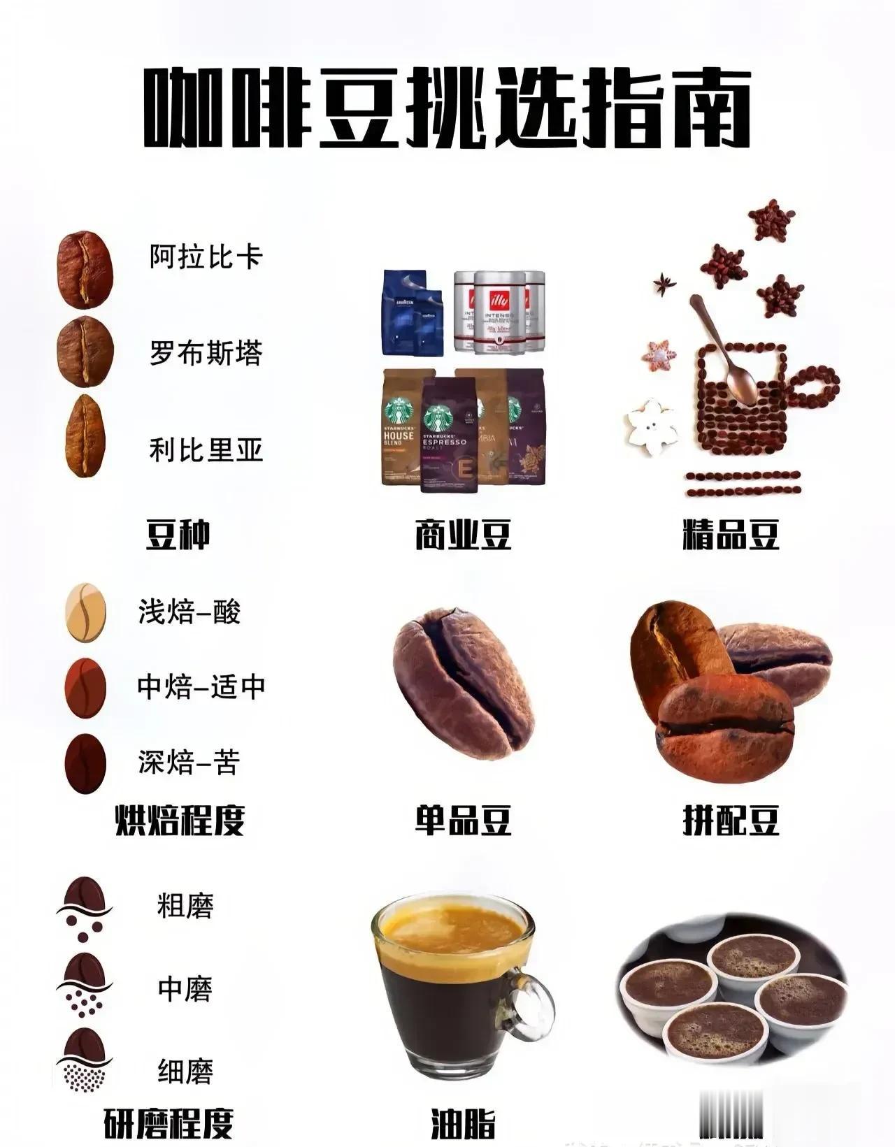 咖啡豆挑选指南——常见的咖啡词汇详解